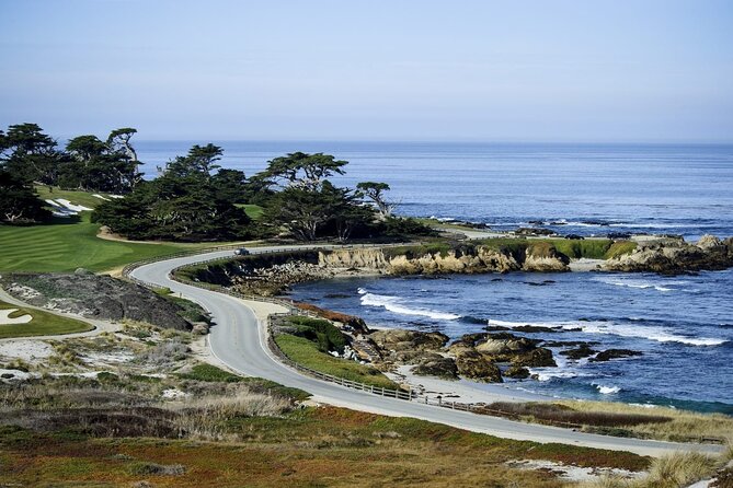 17-Mile Drive, Monterey Peninsula &Carmel Max 12 Small Group Tour - Bird Rock Vista Point: The Wildlife Stop That Feels Like a Mini Nature Show