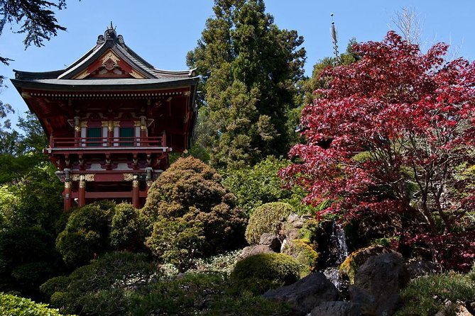 2 Day Hop-On Hop-Off Tour Plus Night Tour - Bonus Chinatown Walking Tour and 2-Hour Bike Rental