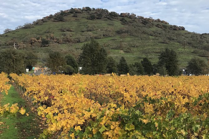8hr Private Sonoma and Napa Wine Tour from San Francisco.XL SUV - Stop 3: Napa Valley Tastings in a 3-Hour Window