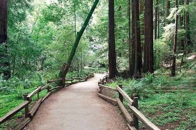 Alcatraz Muir Woods Express with Golden Gate Bridge Visit - Price and what you’re really buying for $99 (plus one extra fee)