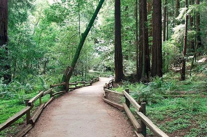 Alcatraz Muir Woods Express with Golden Gate Bridge Visit - Best fit: who will love this, and who should rethink it