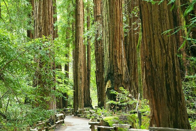 Alcatraz Muir Woods with Sausalito Express - Muir Woods in 60 Minutes: Self-Guided Redwoods With a Time Cap