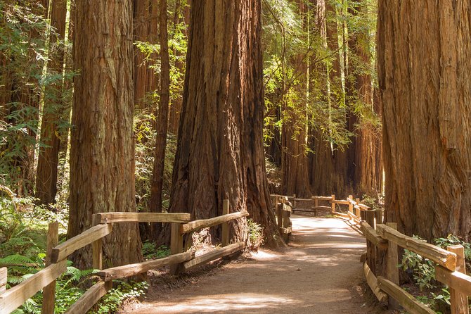Alcatraz with Muir Woods and Sausalito Tour - Why this Alcatraz–Muir Woods–Sausalito combo works in one day