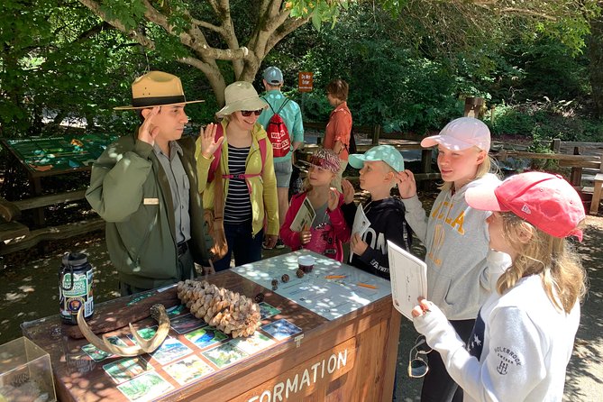 Amazing Muir Woods and Sausalito Tour - Why this tour is good value at $89 (and when it isn’t)