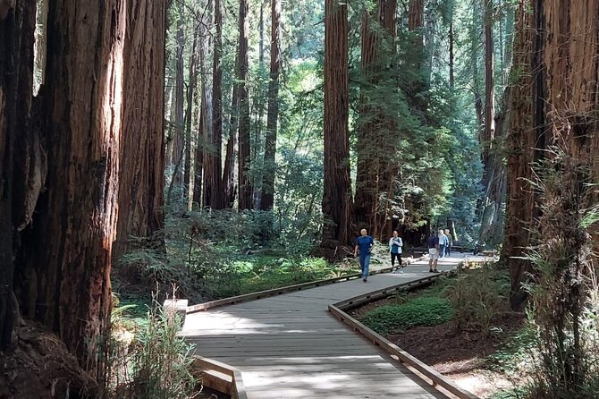 Amazing Muir Woods and Sausalito Tour - Timing and comfort: the real reasons people rate it differently