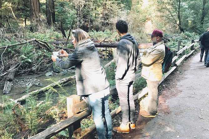 Amazing Muir Woods and Sausalito Tour - Tips to make your day feel smooth