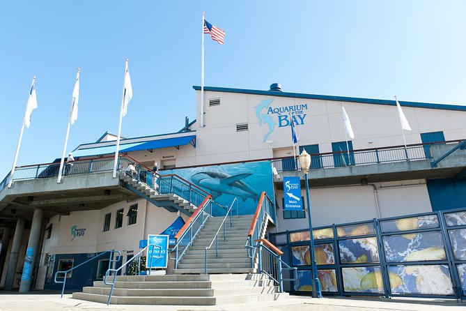 Aquarium of the Bay General Admission Ticket - How long should you plan? Why 2 hours fits, but you can stay longer