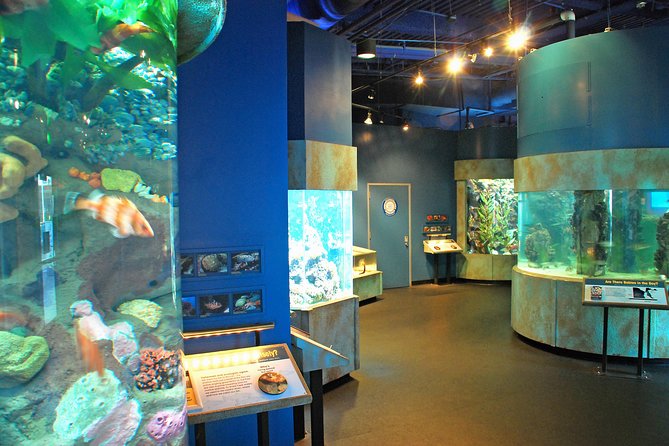 Aquarium of the Bay General Admission Ticket - Value check on $28.25: what you’re really paying for
