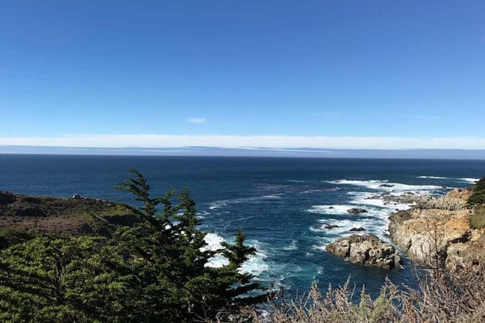 Best of Monterey Peninsula & Carmel-the-Sea Small Group Tour - Bird Rock Vista Point and the Lone Cypress photo stop