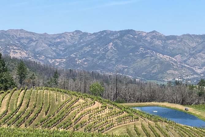 Best Private Wine Tours of Napa Valley-Sonoma for up to 8 people - Sonoma Valley stop: town-square charm and relaxed wine-country pace