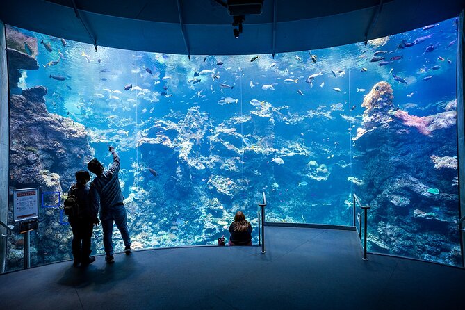 California Academy of Sciences General Admission Ticket - Getting in fast: the mobile ticket and your first-hour plan