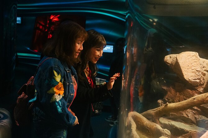 California Academy of Sciences NightLife Admission Ticket - Entering the Academy at NightLife: fast start, adult vibe, weekly theme