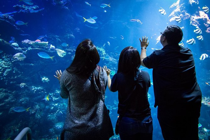 California Academy of Sciences NightLife Admission Ticket - Rainforest dome and animal highlights you should not skip