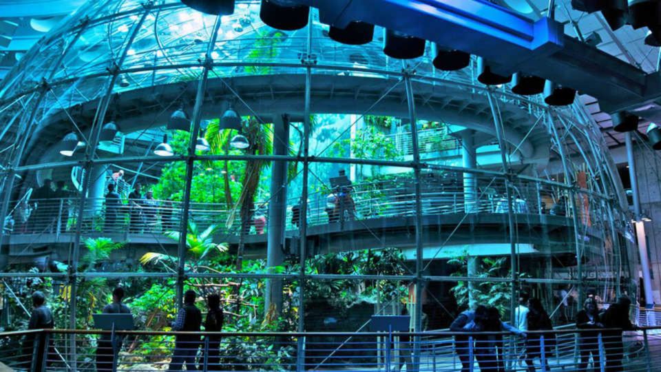 California Academy of Sciences Thursday NightLife Admission - The rainforest dome at night: your must-do before 7:30 PM