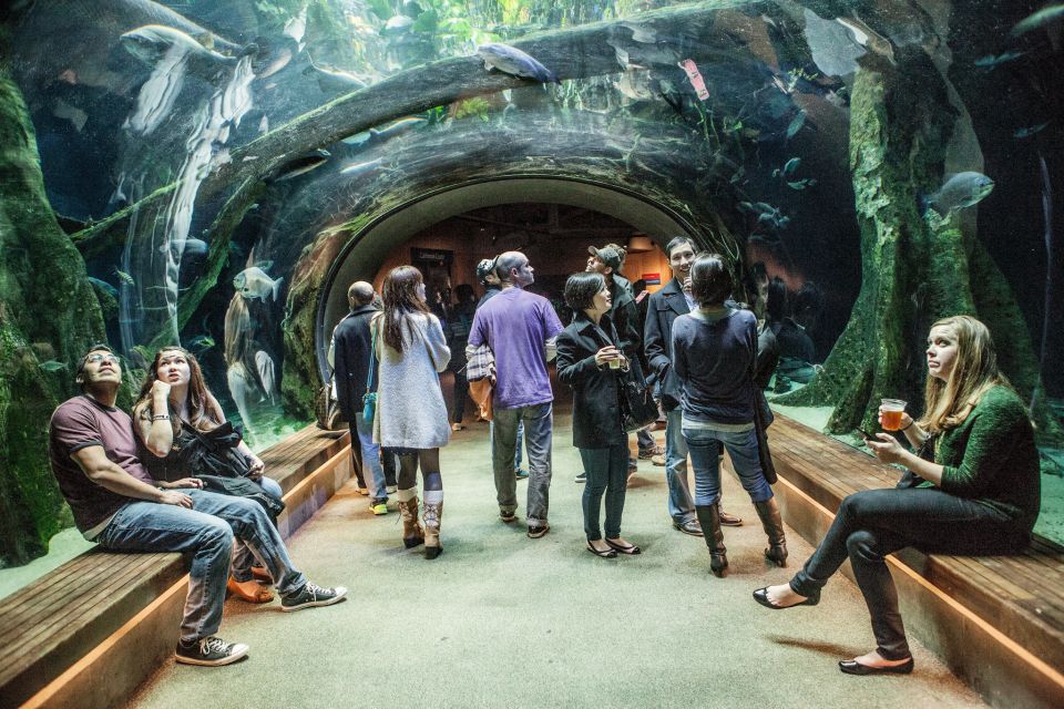 California Academy of Sciences Thursday NightLife Admission - The 75-foot planetarium: how to use the $5 pass wisely