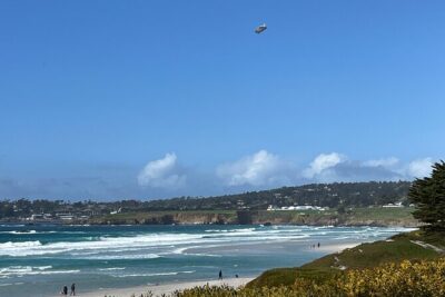 Carmel, Monterey and Big Sur Tour Private Tour from San Francisco - The Driver Matters: From Fred to Marciano, You Get a Real Coast Guide