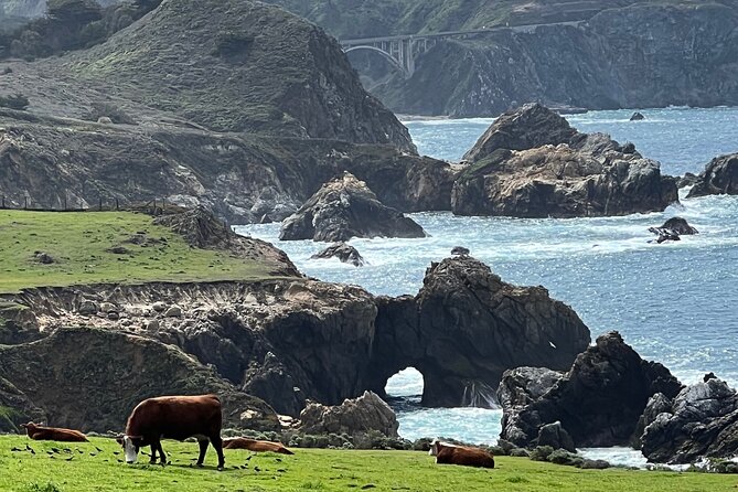 Carmel, Monterey and Big Sur Tour Private Tour from San Francisco - Food Stops That Break Up the Drive (and Where to Expect Them)