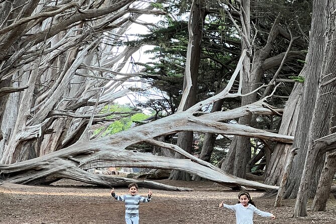 Carmel, Monterey and Big Sur Tour Private Tour from San Francisco - Price and Value: $985 Per Group for a Full Coast Day