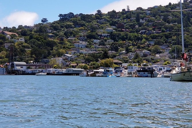 Combo Small-Group Tour: SF City plus Muir Woods & Sausalito - San Francisco Highlights: More Than a Photo List