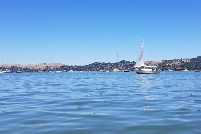 Combo Tour: Muir Woods, Sausalito and Sonoma Wine Country Tour - Sausalito: bay-town charm, WWII-era story, and a break that can be as long as you make it