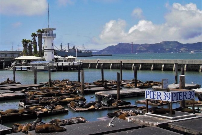 Fisherman's Wharf Walking Tour - Key Highlights You’ll Actually Feel