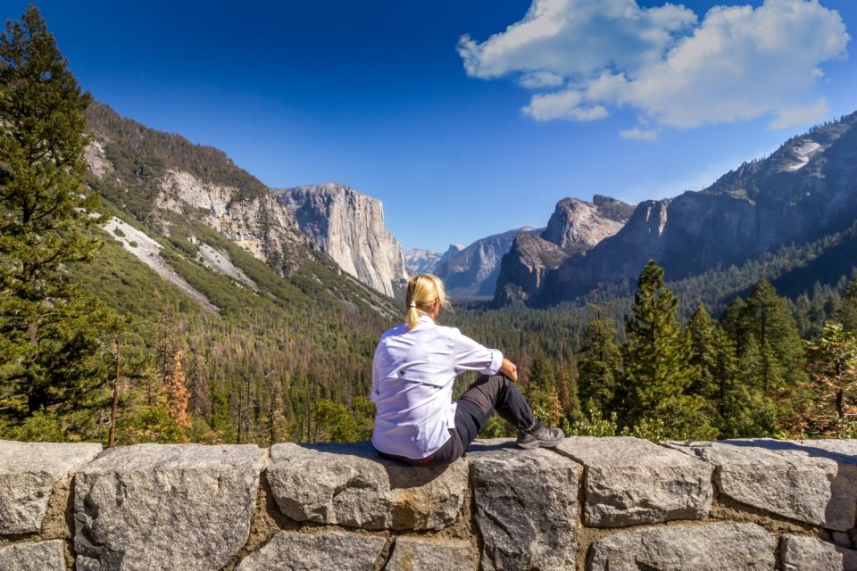 From San Francisco: 2-Day Yosemite Guided Trip with Pickup - Day two: seasonal choices and the guide’s role in making sense of it