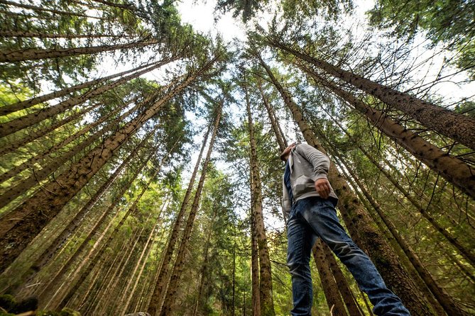 From San Francisco: Alcatraz Island and Guided Muir Woods Tour - The Coach Ride to Muir Woods: Golden Gate Views and a Real Sense of Place