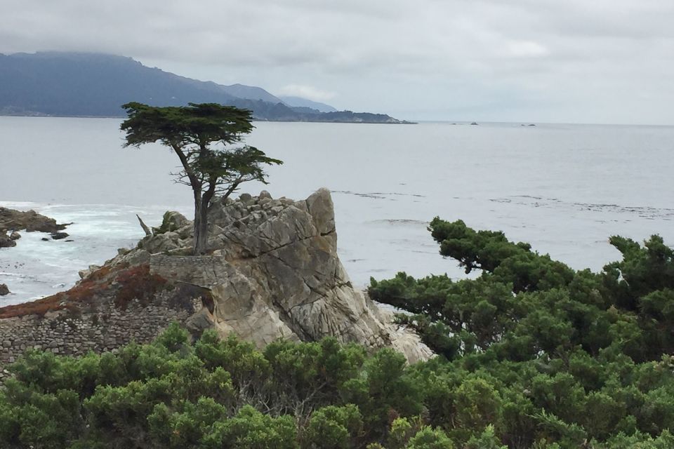 From San Francisco: Carmel, Monterey & Big Sur Private Tour - A Private Coast Day That’s Built Around Your Stops
