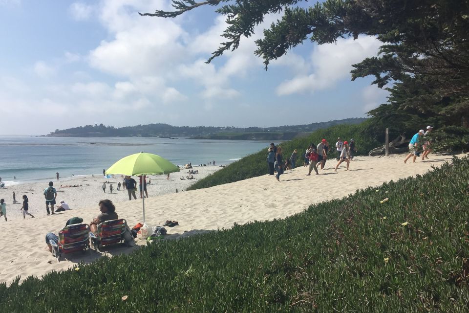From San Francisco: Carmel, Monterey & Big Sur Private Tour - Should You Book This Carmel, Monterey & Big Sur Private Tour?