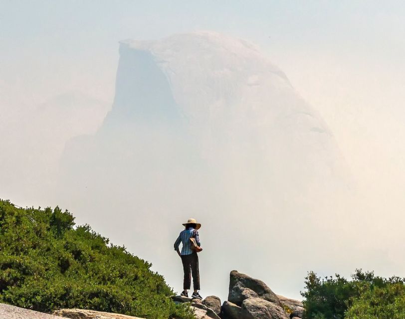 From San Francisco: Day Trip to Yosemite National Park - Key highlights you’ll actually feel on this tour