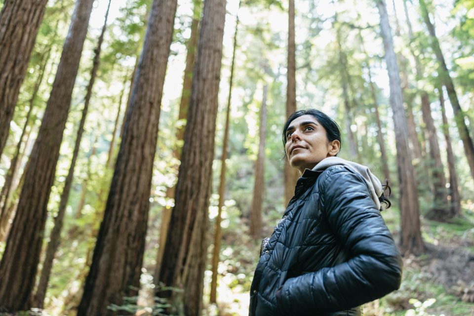 From San Francisco: Guided Muir Woods Tour - Entering Muir Woods: 90 minutes that still feel like real time