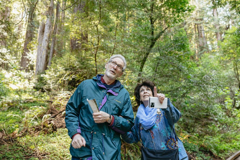 From San Francisco: Guided Muir Woods Tour - Sausalito in 45 minutes: short stroll, big views, sensible pace