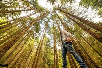 From San Francisco: Guided Tour to Muir Woods - Starting point and getting on the bus without stress