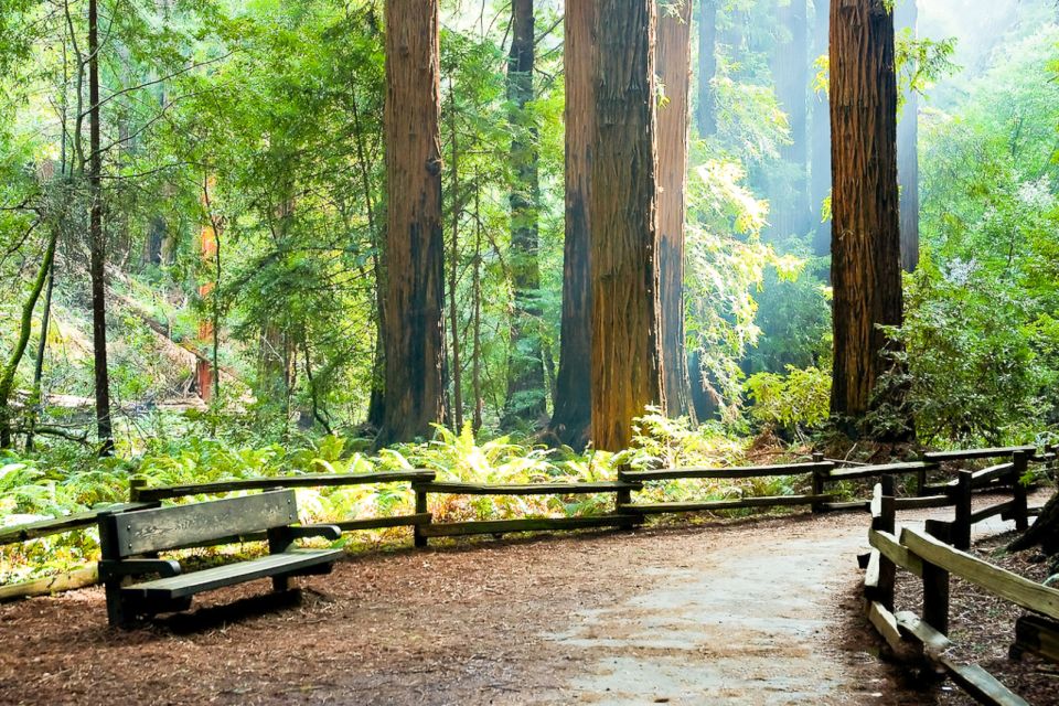 From San Francisco: Guided Tour to Muir Woods - Muir Woods arrival: park tickets provided and a real self-guided walk