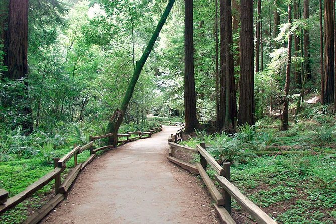 From San Francisco: Guided Tour to Muir Woods and Sausalito - Sausalito: Mediterranean-Like Bay Views, With Time Limits