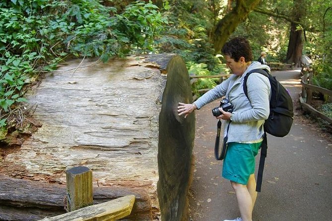 From San Francisco: Guided Tour to Muir Woods and Sausalito - Upgrades: Ferry Return and the Big Bus + Chinatown Combo
