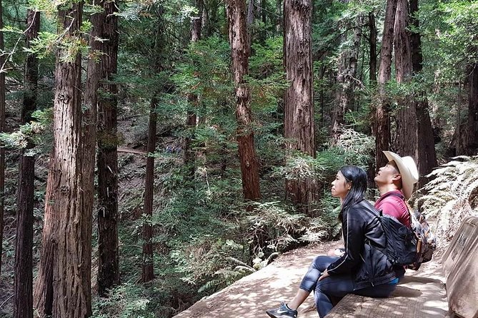 From San Francisco: Guided Tour to Muir Woods and Sausalito - What’s Included, What’s Not, and What to Bring