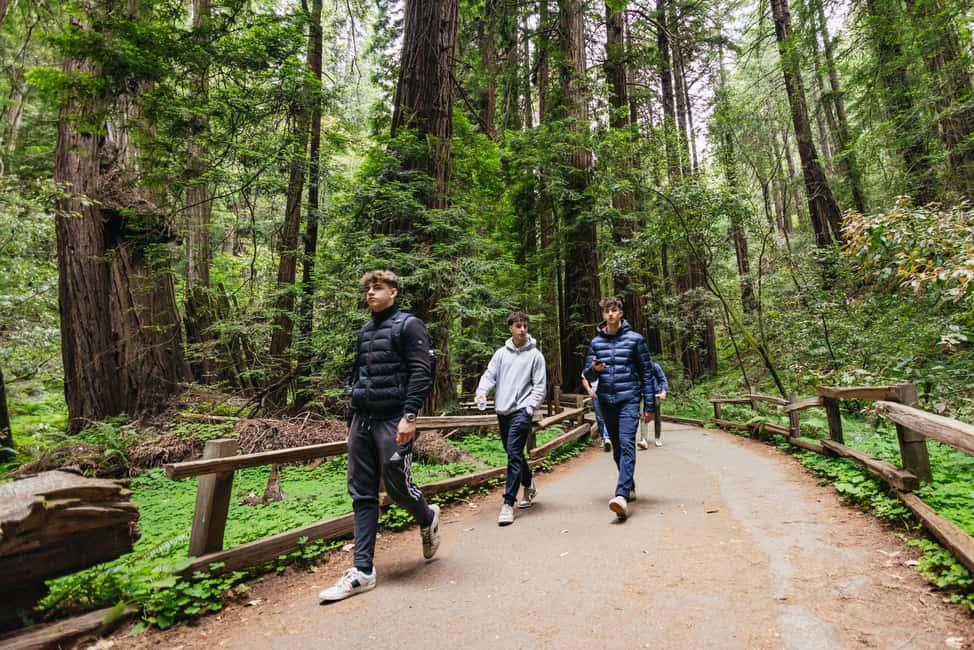 From San Francisco: Muir Woods, Sausalito and Alcatraz Tour - Muir Woods: Using Your 90-Minute Redwood Window Like a Pro