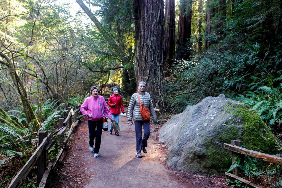 From San Francisco: Muir Woods Wine Tour with Napa & Sonoma - Sonoma Plaza lunch: a real break, not another scripted meal