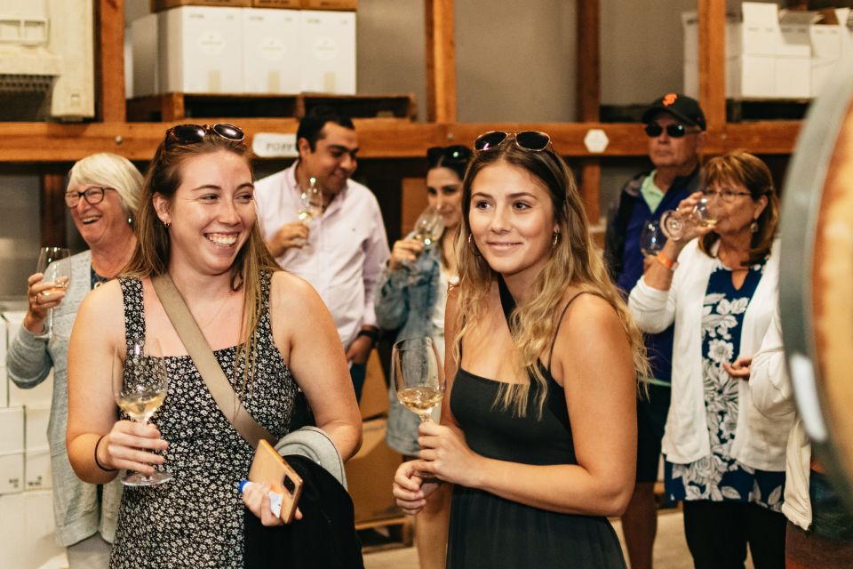 From San Francisco: Napa & Sonoma Valley Full-Day Wine Tour - Price and Value: Does $140 Make Sense Here?