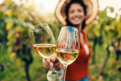 From San Francisco: Napa & Sonoma Valley Wine Tour with Tastings - Half-Day vs Full-Day: Sonoma Square Is the Real Decision Point
