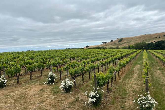From San Francisco: Napa & Sonoma Valley Wine Tour with Tastings - The Guides: Why Names Like Marco, James, and Grady Matter