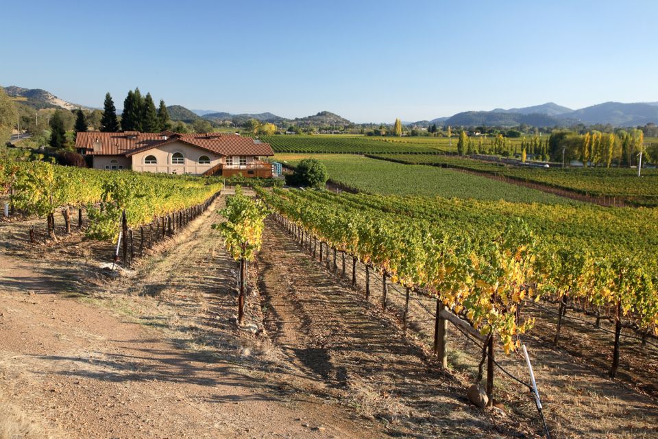 From San Francisco: Napa Valley Private Tour - Pickup in San Francisco: Easy Start, Real Comfort