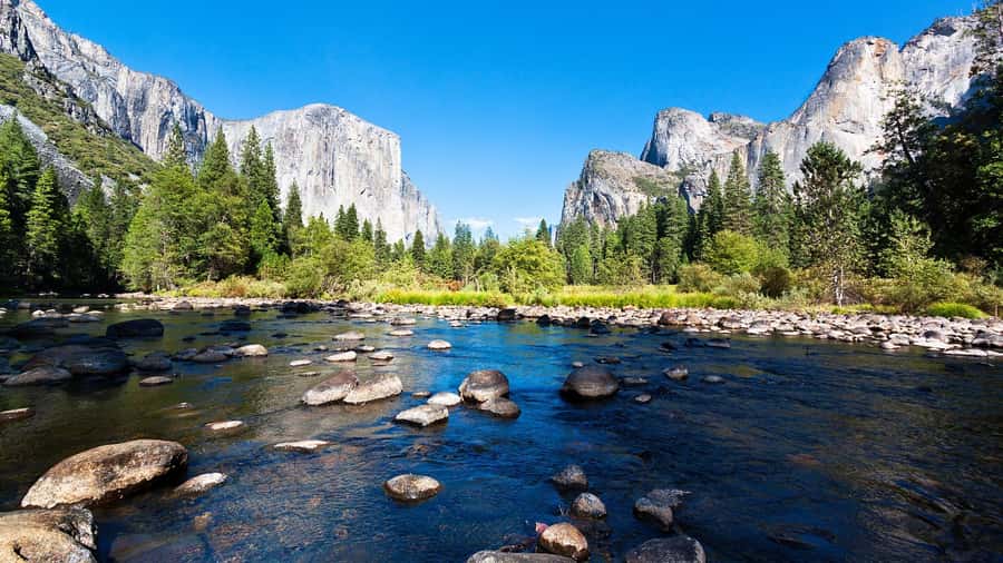 From San Francisco: Yosemite National Park Guided Day Trip - Key things I’d watch for on this Yosemite day trip