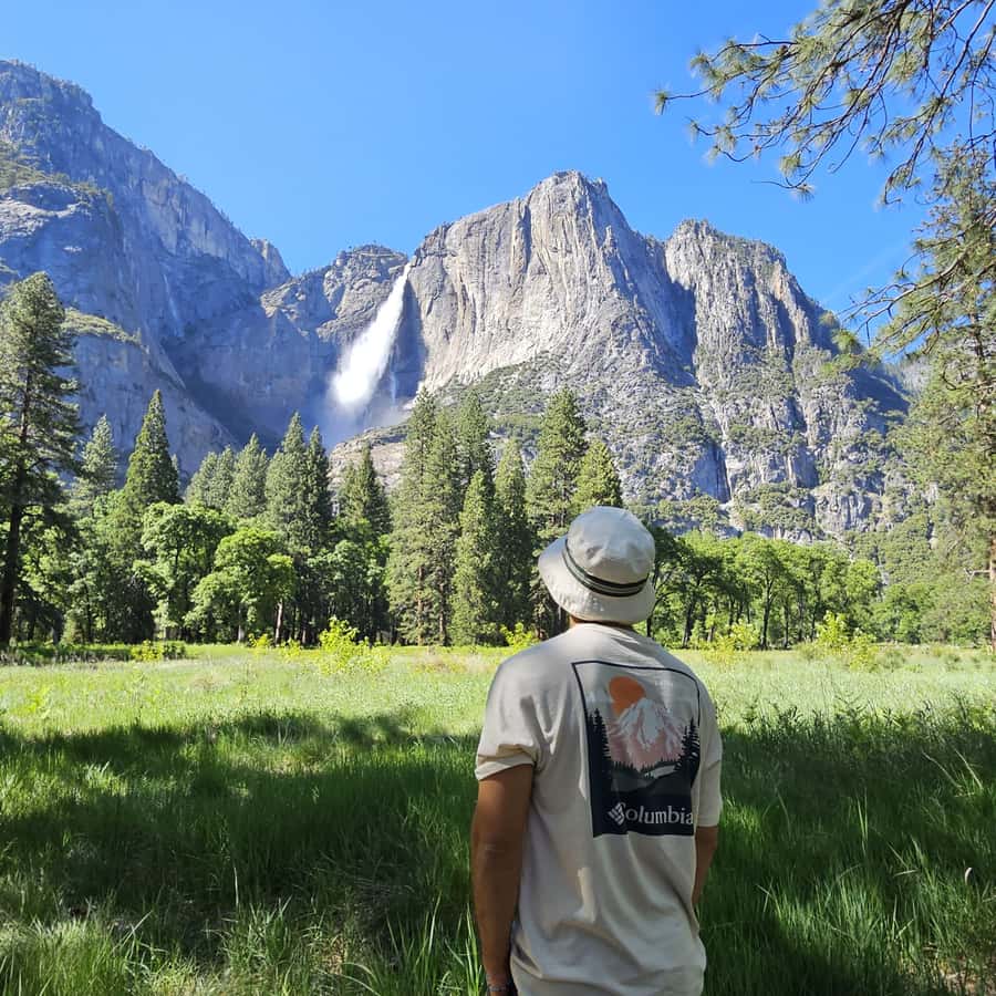 From San Francisco: Yosemite National Park Guided Day Trip - Yosemite viewpoints: the route from Tunnel View to the granite icons