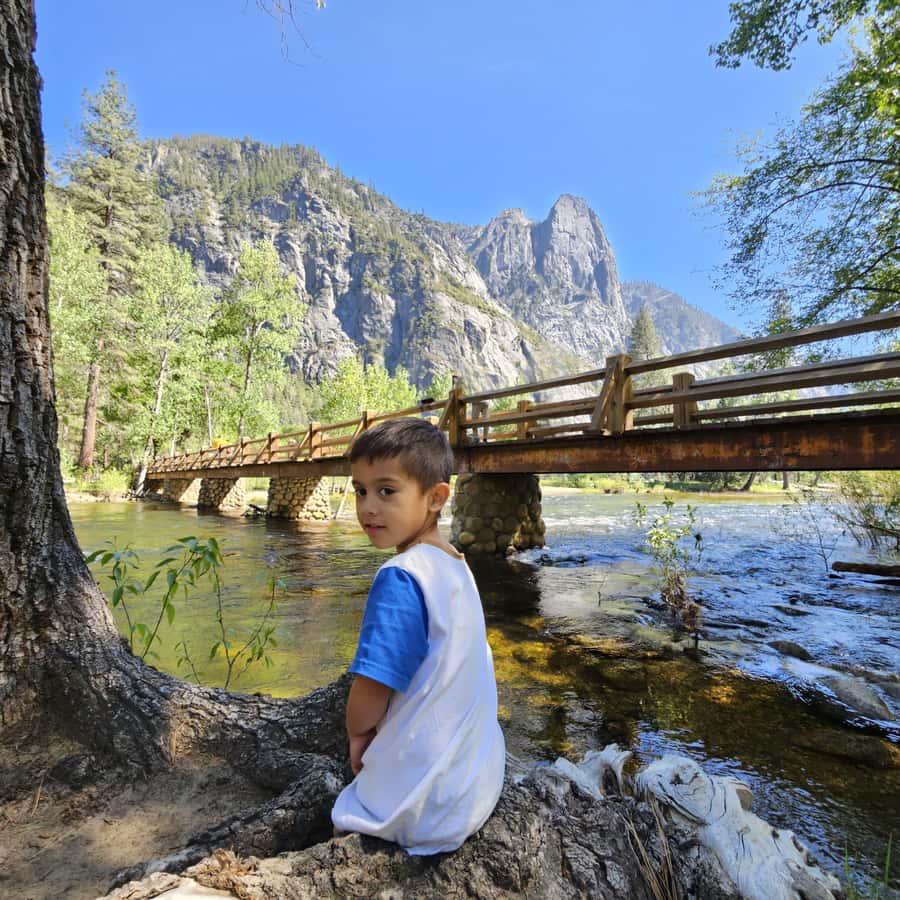 From San Francisco: Yosemite National Park Guided Day Trip - The heart of the day: 1-hour guided tour plus 3 hours in Yosemite Valley
