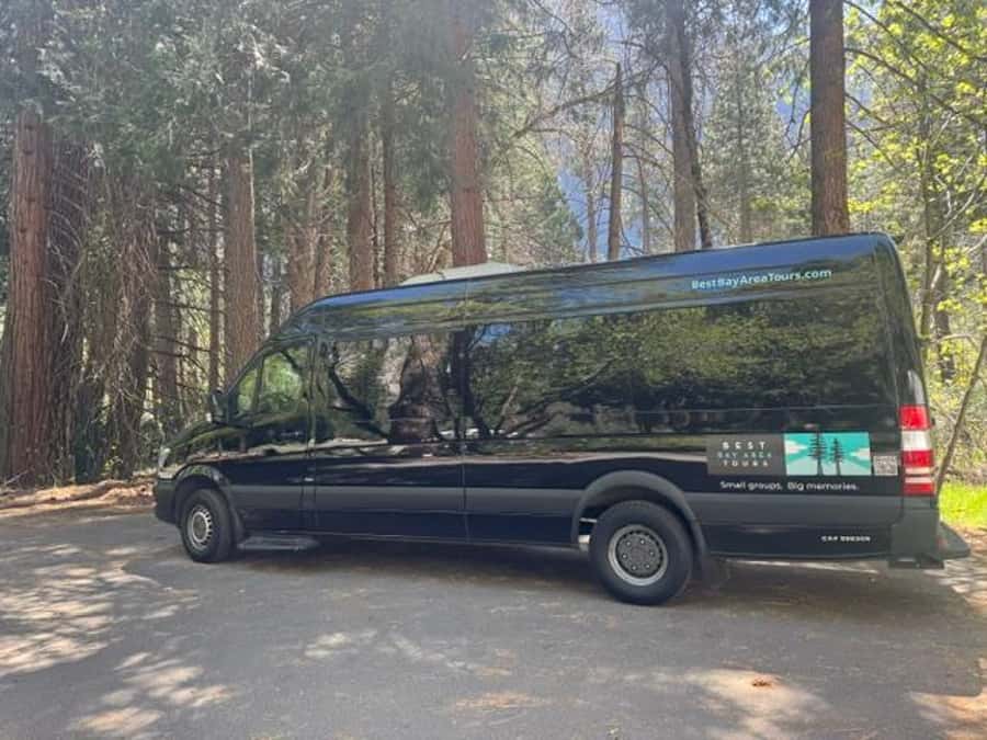 From SF: Yosemite Day Trip with Giant Sequoias Hike & Pickup - Tuolumne Grove and the one-mile sequoias hike that still feels like a workout