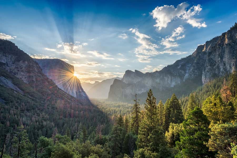 From SF: Yosemite Day Trip with Giant Sequoias Hike & Pickup - Price and value: is $239 a good deal for this Yosemite hit?