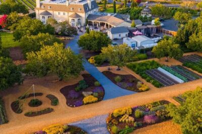 Giant Redwoods Tour Including a 5-Course Winery Lunch - Morning Pickup and the Ride Out of San Francisco