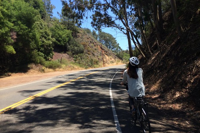 Golden Gate Bridge Bike Rentals - Very Close To The Bridge! - Close to the bridge: your Lombard Street starting point